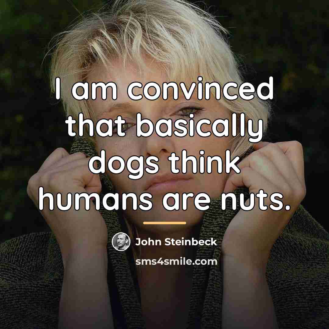 “I am convinced that basically dogs think humans are nuts.…” quote by John Steinbeck