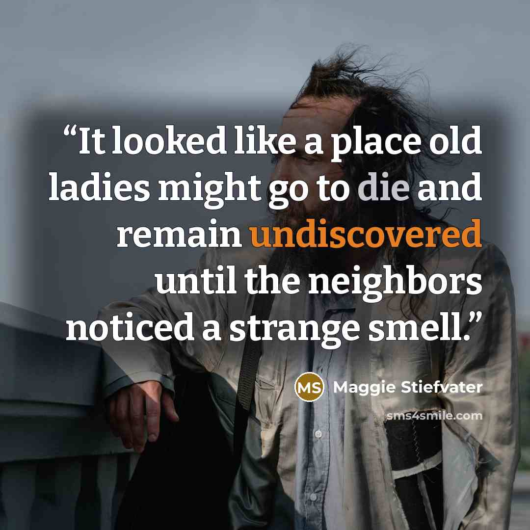 “It looked like a place old ladies might go to die and remain undiscovered until the neighbors noticed a strange smell.” quote by Maggie Stiefvater