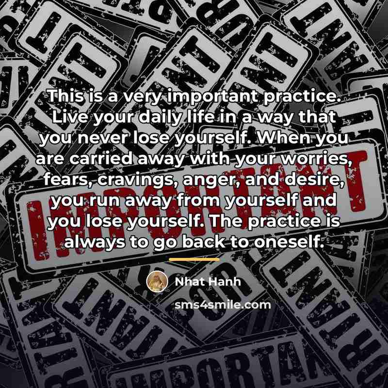 “This is a very important practice. Live your daily life…” quote by Nhat Hanh