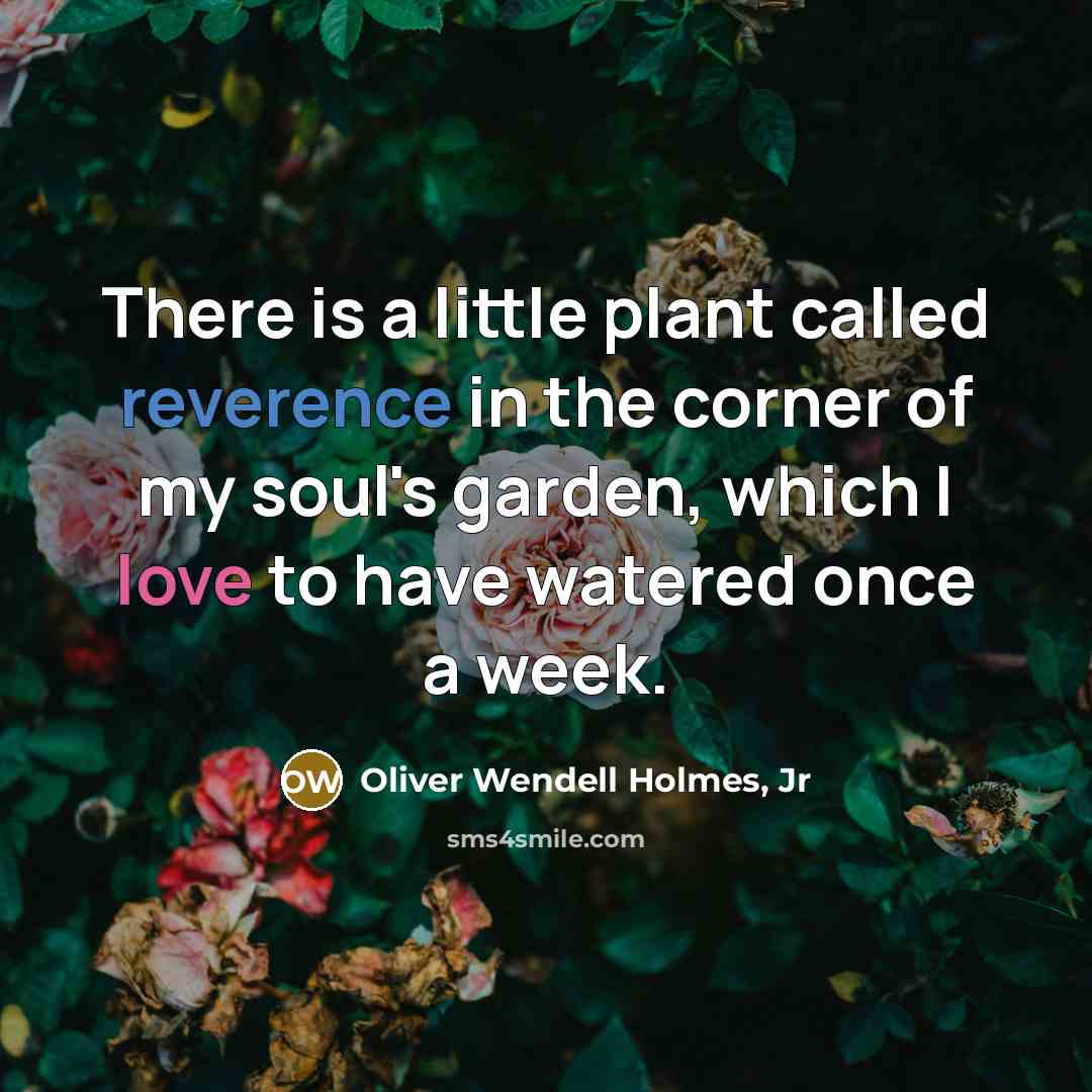 “There is a little plant called reverence in the corner…” quote by Oliver Wendell Holmes, Jr