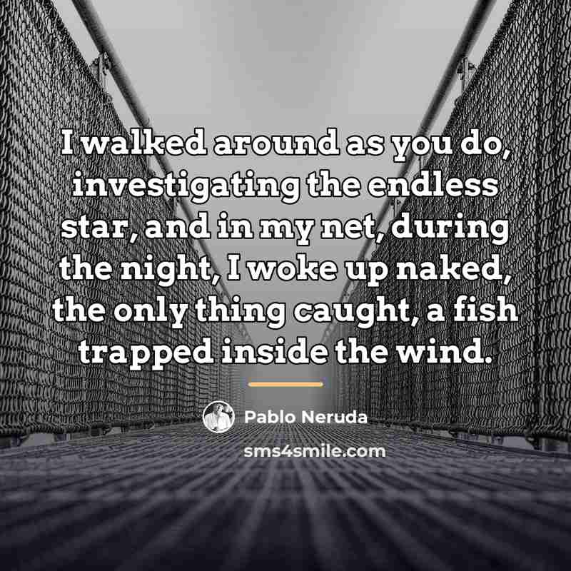“I walked around as you do, investigating the endless star,…” quote by Pablo Neruda