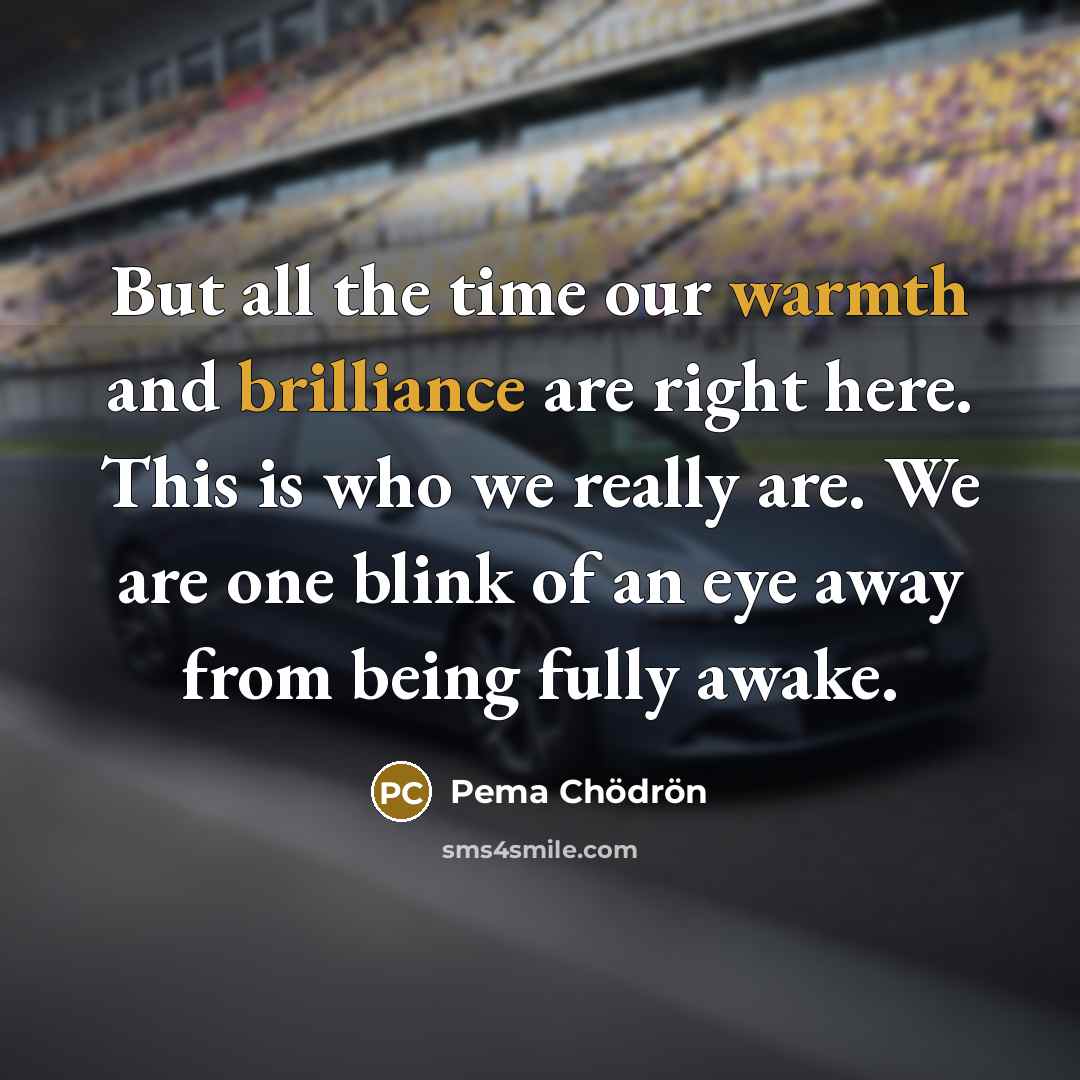 “But all the time our warmth and brilliance are right…” quote by Pema Chodron