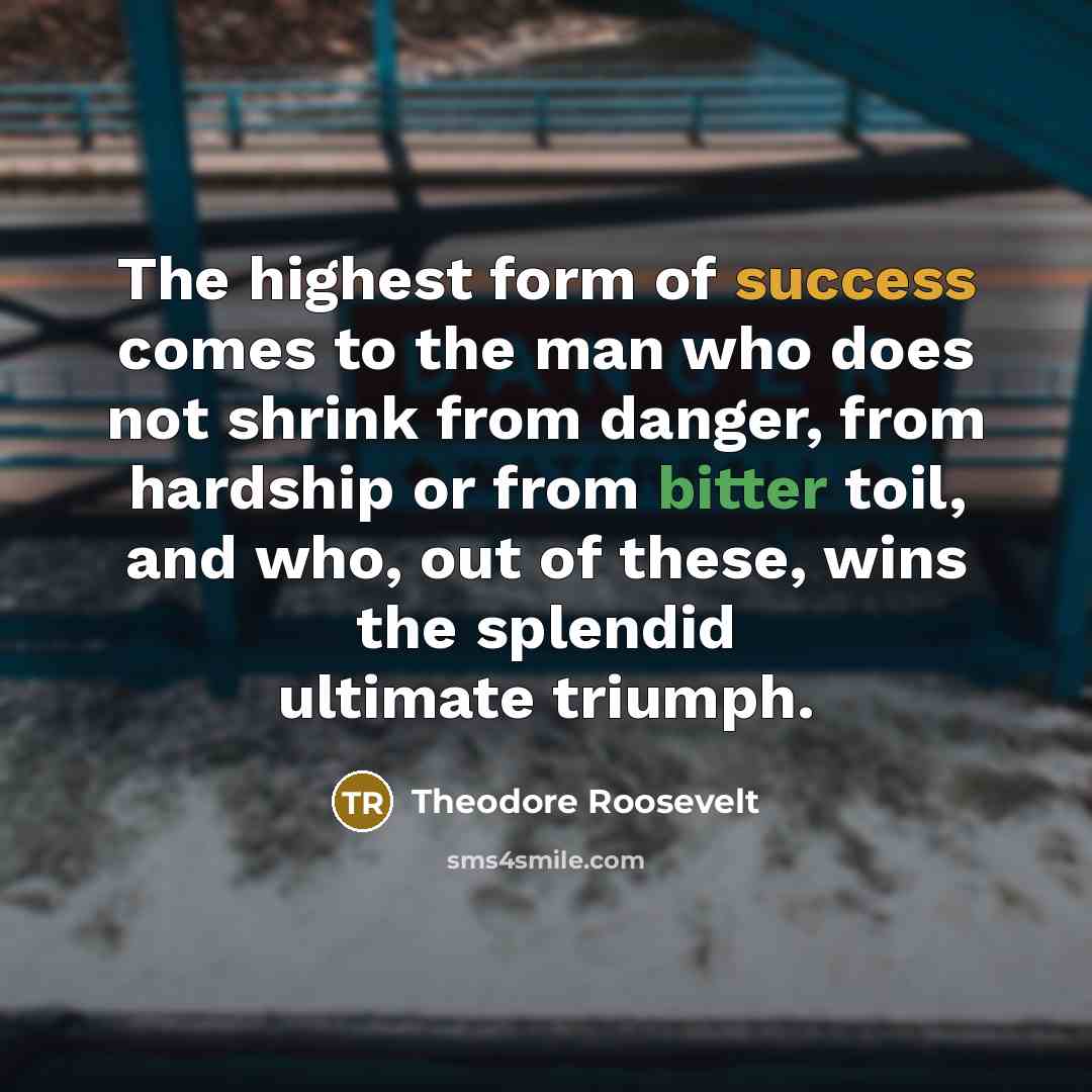 “The highest form of success comes to the man who…” quote by Theodore Roosevelt