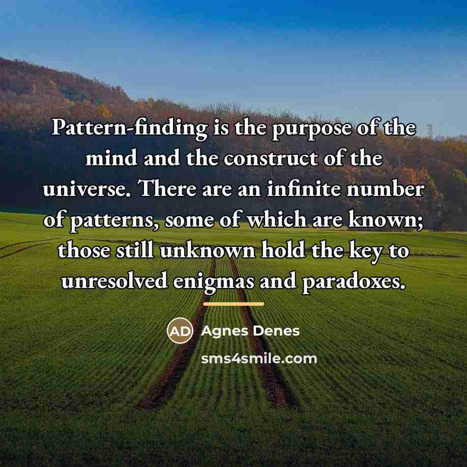 “Pattern-finding is the purpose of the mind and the construct…” quote by Agnes Denes