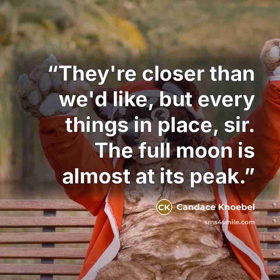 “They're closer than we'd like, but every things in place, sir. The full moon is almost at its peak.” quote by Candace Knoebel