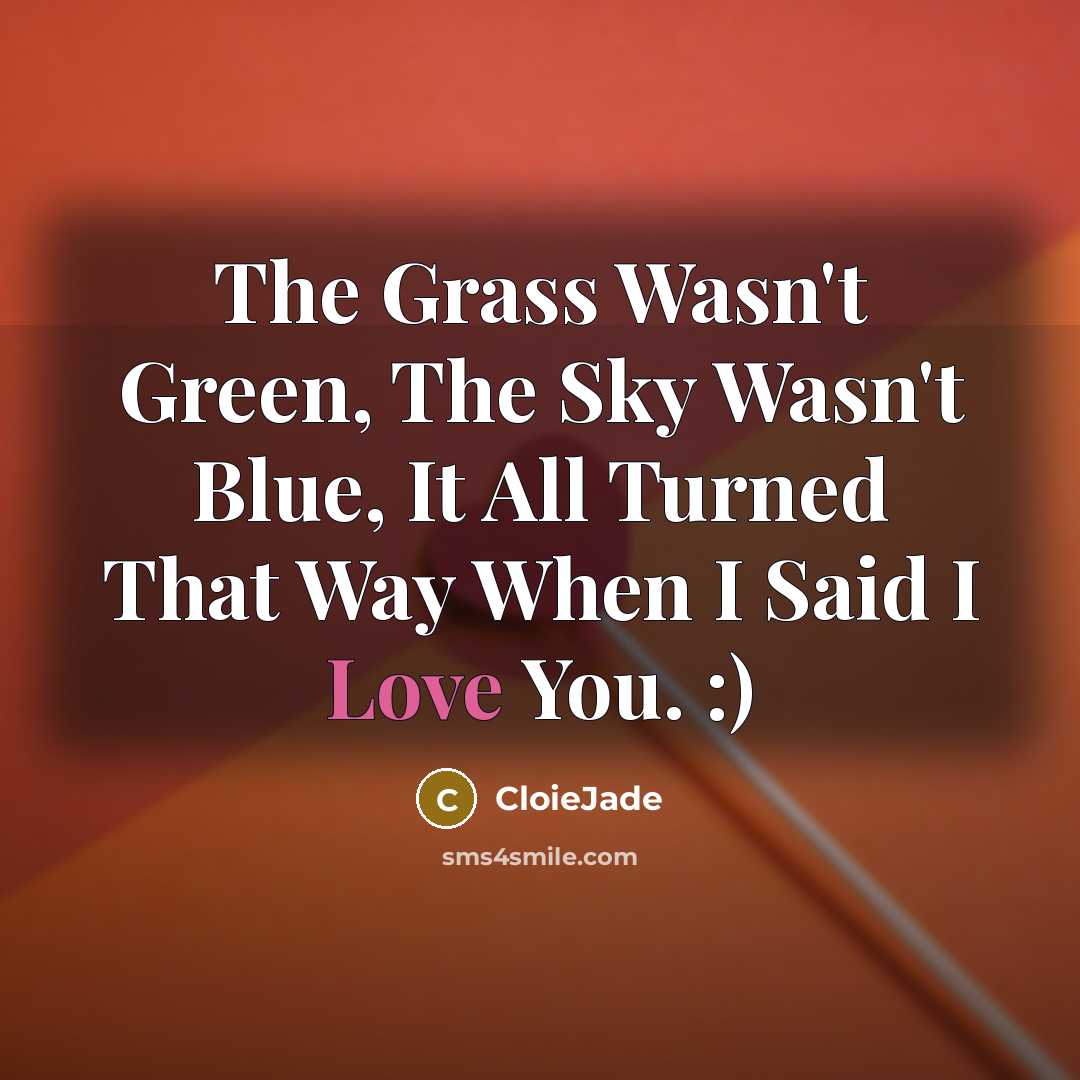 “The Grass Wasn't Green, The Sky Wasn't Blue, It All Turned That Way When I Said I Love You. :)” quote by CloieJade
