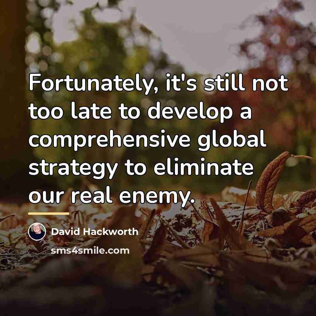 “Fortunately, it's still not too late to develop a comprehensive…” quote by David Hackworth