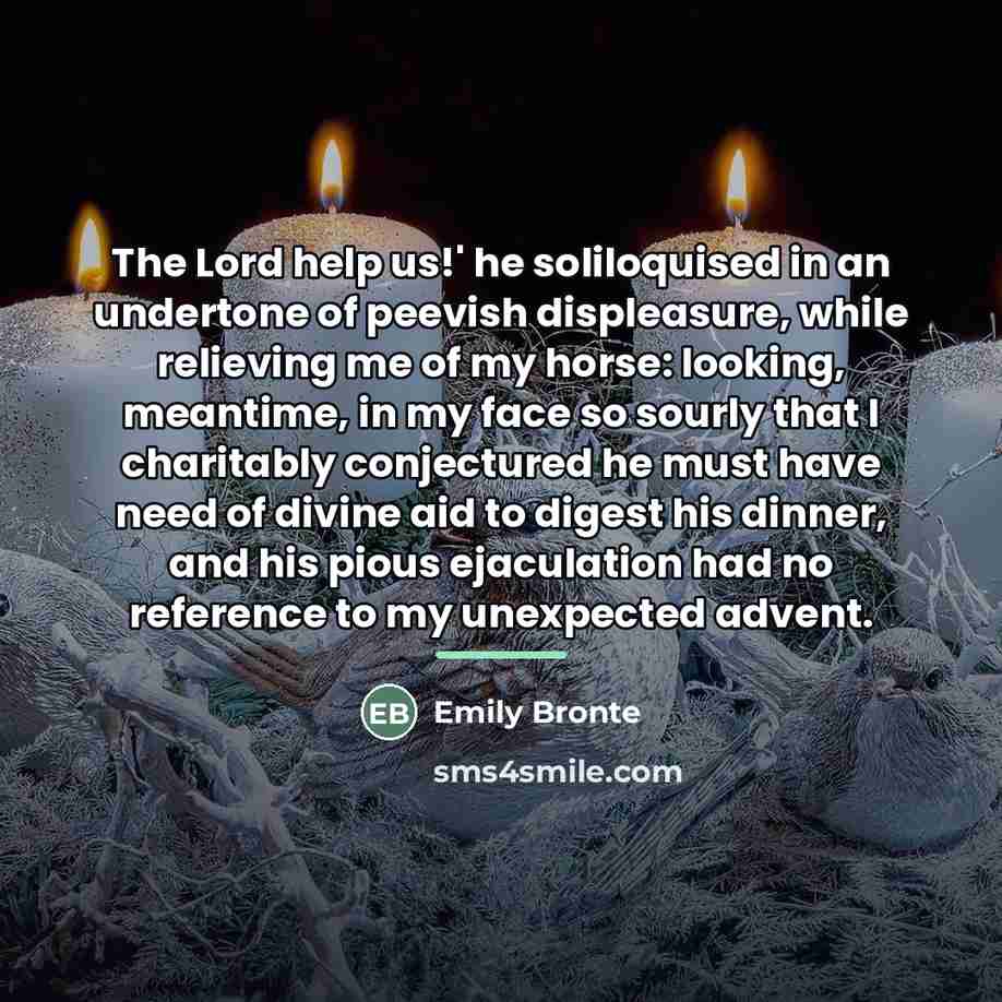 “The Lord help us!' he soliloquised in an undertone of…” quote by Emily Bronte
