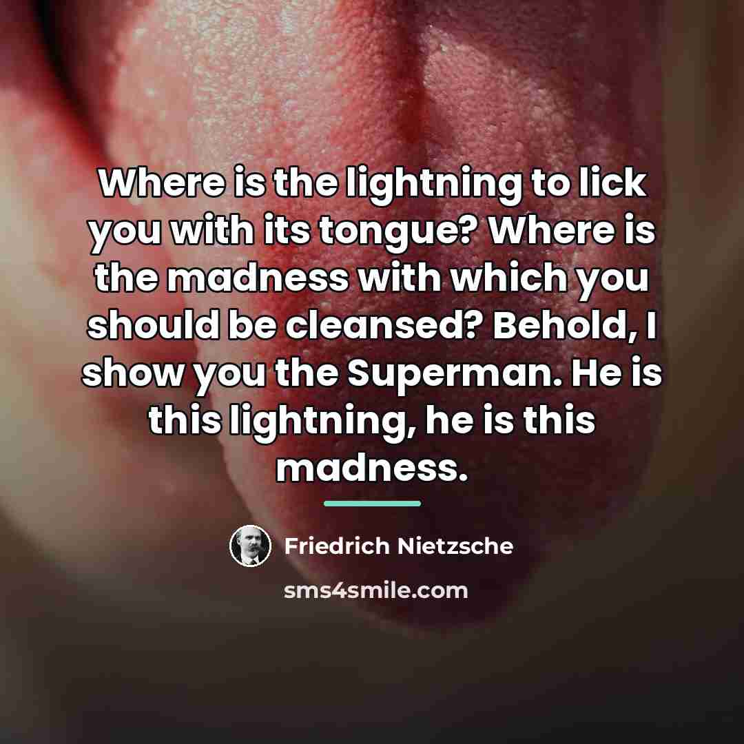 “Where is the lightning to lick you with its tongue?…” quote by Friedrich Nietzsche