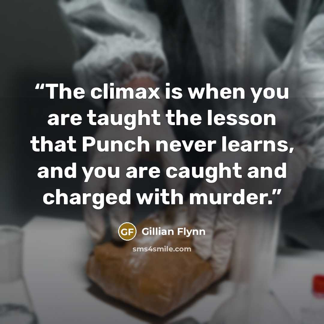 “The climax is when you are taught the lesson that Punch never learns, and you are caught and charged with murder.” quote by Gillian Flynn