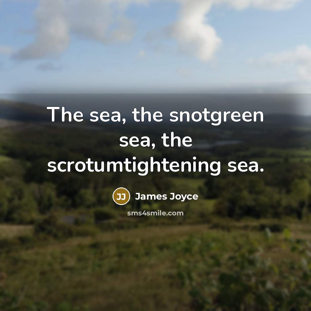 “The sea, the snotgreen sea, the scrotumtightening sea.…” quote by James Joyce