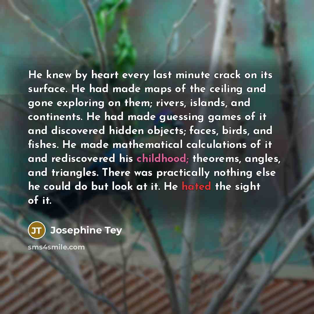 “He knew by heart every last minute crack on its…” quote by Josephine Tey