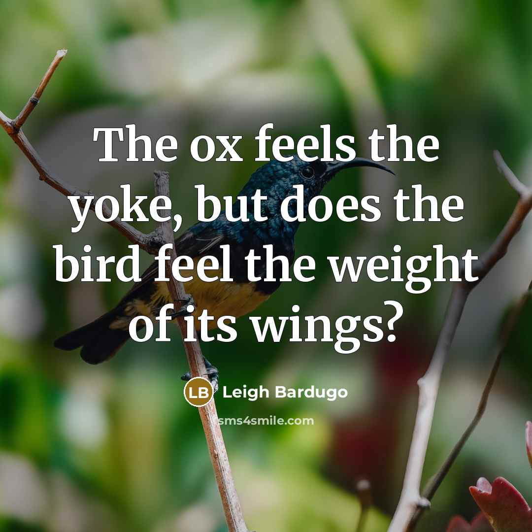 “The ox feels the yoke, but does the bird feel…” quote by Leigh Bardugo