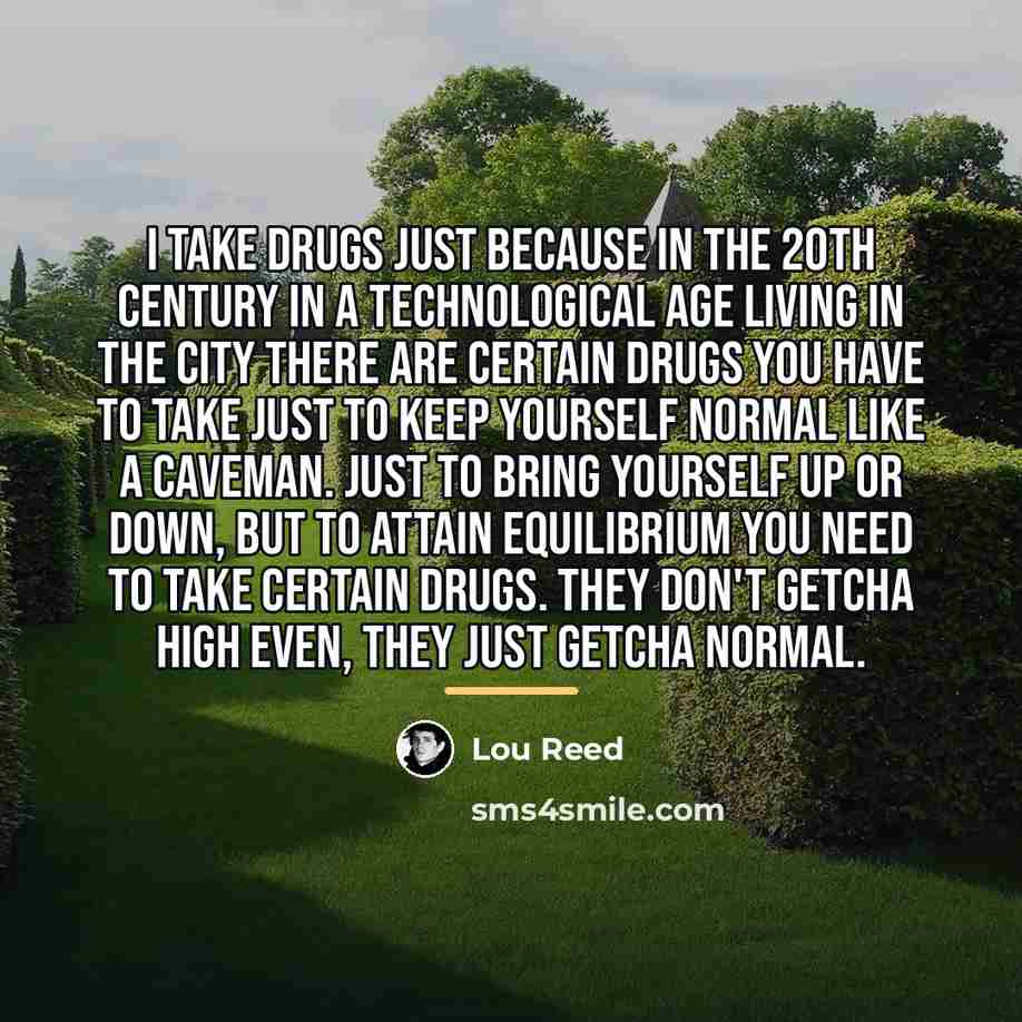 “I take drugs just because in the 20th century in…” quote by Lou Reed