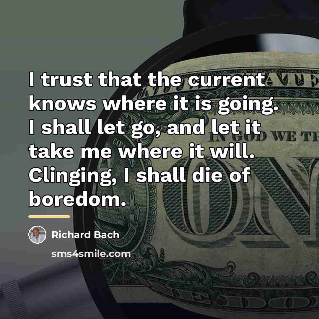 “I trust that the current knows where it is going.…” quote by Richard Bach