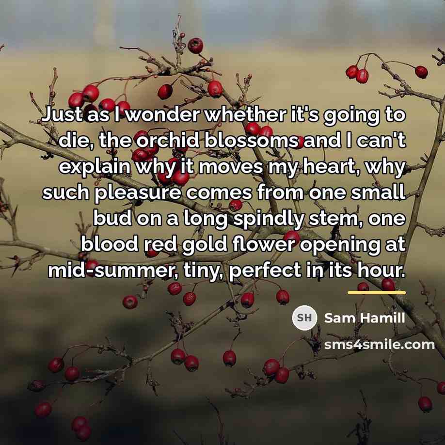 “Just as I wonder whether it's going to die, the…” quote by Sam Hamill