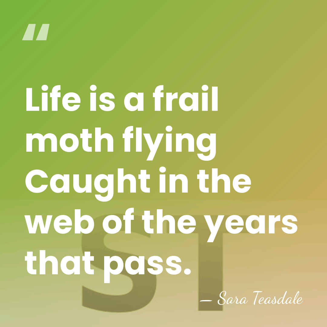 Life is a frail moth flying Caught in the web of the&hellip; - Sara Teasdale