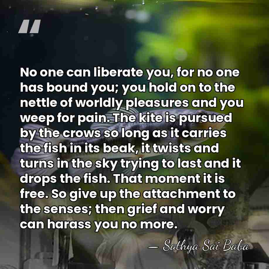 No one can liberate you, for no one has bound you; you&hellip; - Sathya Sai Baba