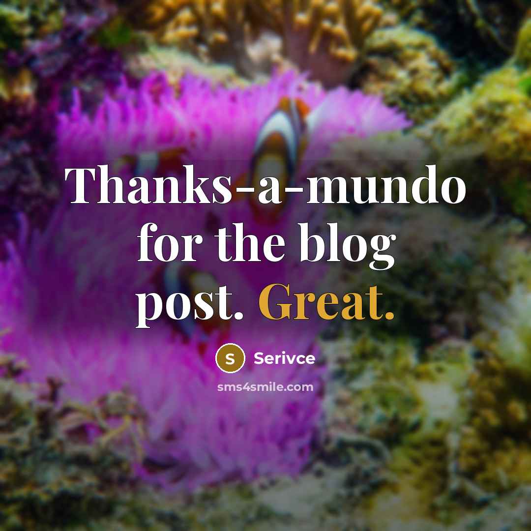 “Thanks-a-mundo for the blog post. Great.” quote by Serivce
