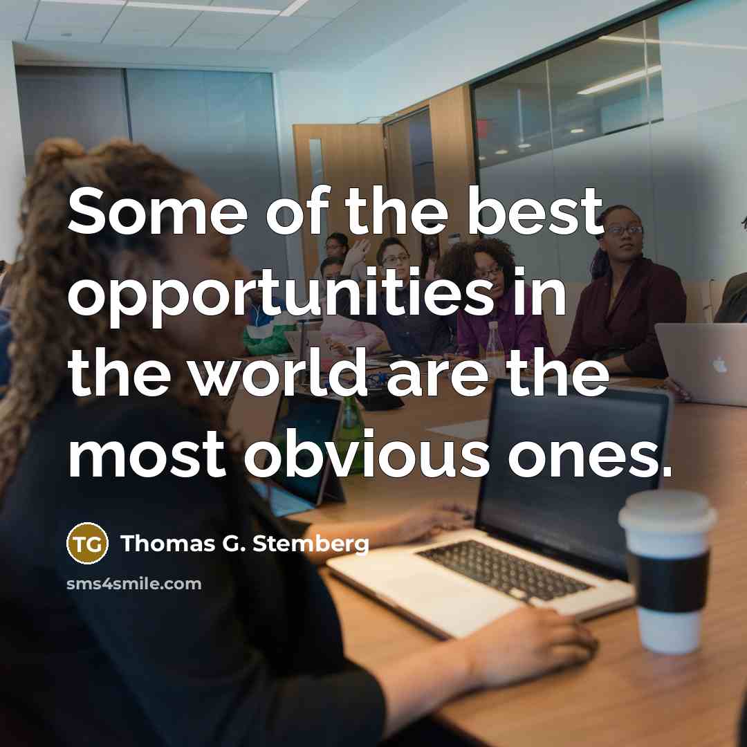 “Some of the best opportunities in the world are the…” quote by Thomas G. Stemberg