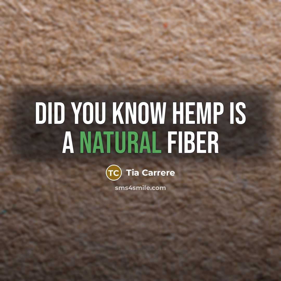 “Did you know hemp is a natural fiber…” quote by Tia Carrere