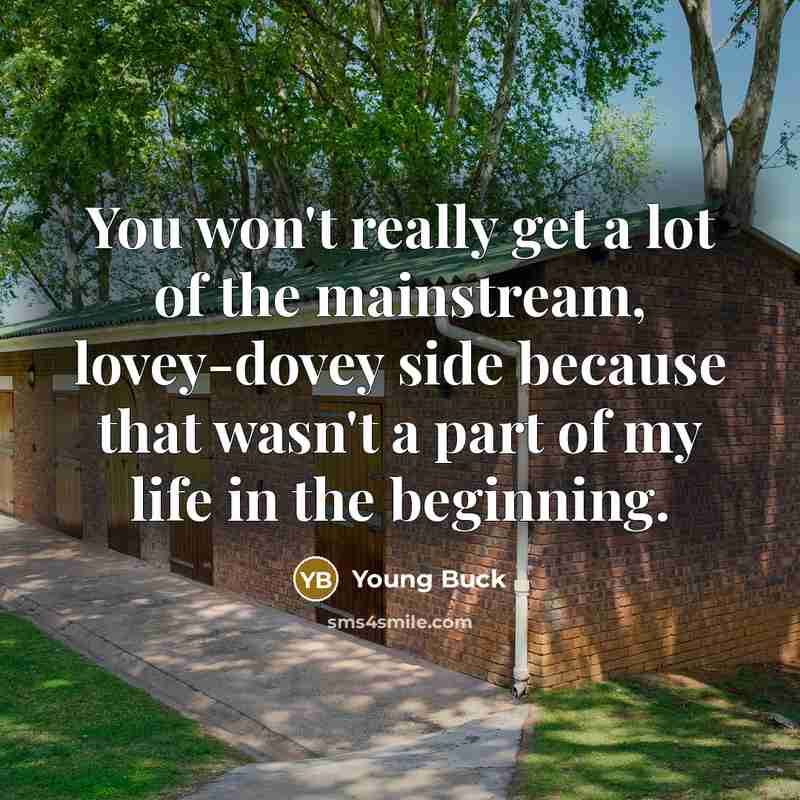 “You won't really get a lot of the mainstream, lovey-dovey…” quote by Young Buck