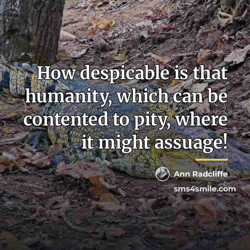 “How despicable is that humanity, which can be contented to…” quote by Ann Radcliffe