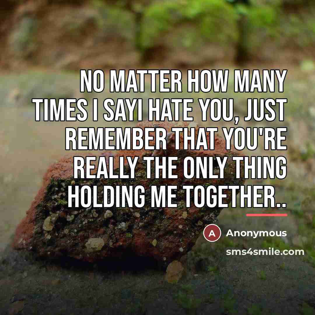 “No matter how many times I sayI hate you, just…” quote by Anonymous