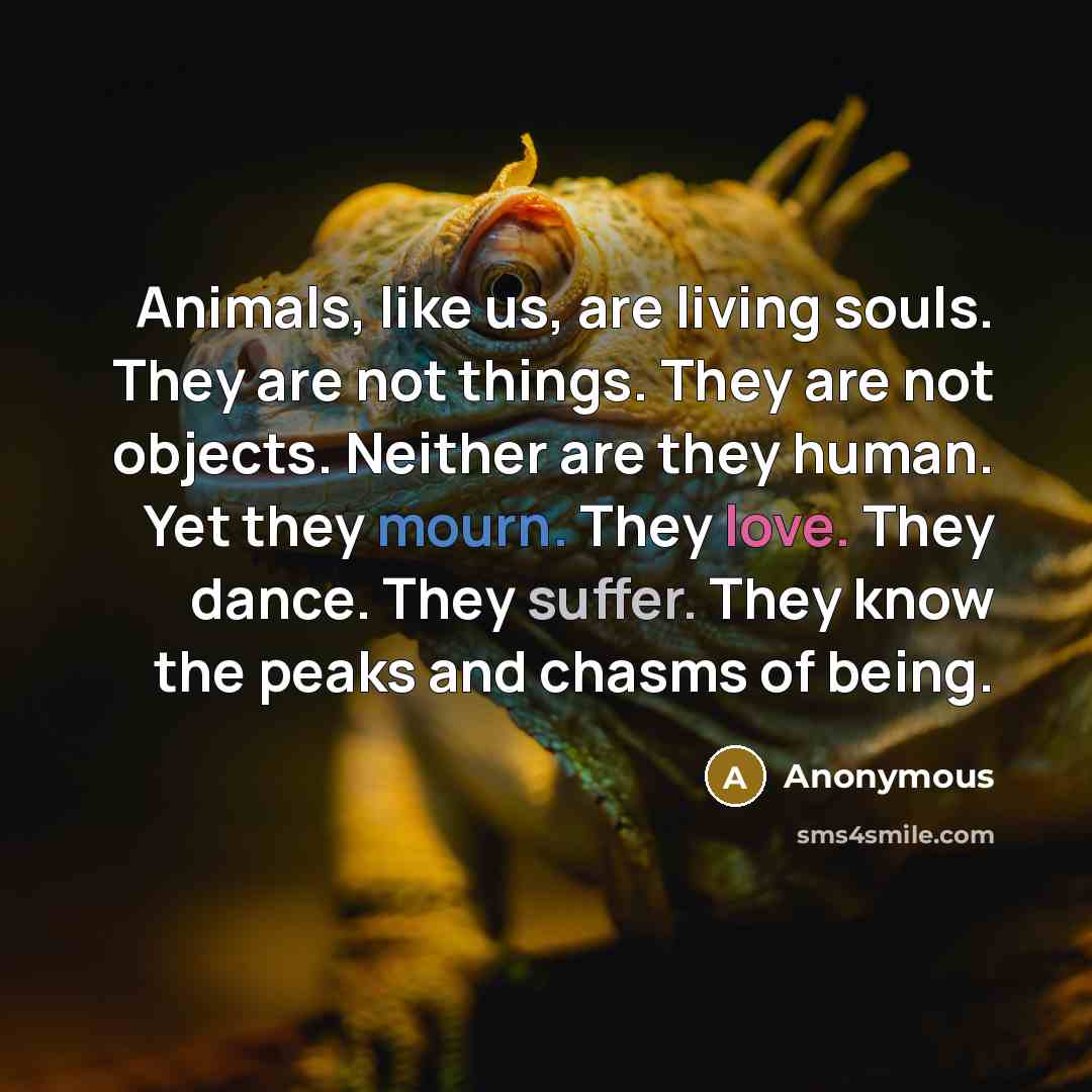 “Animals, like us, are living souls. They are not things.…” quote by Anonymous