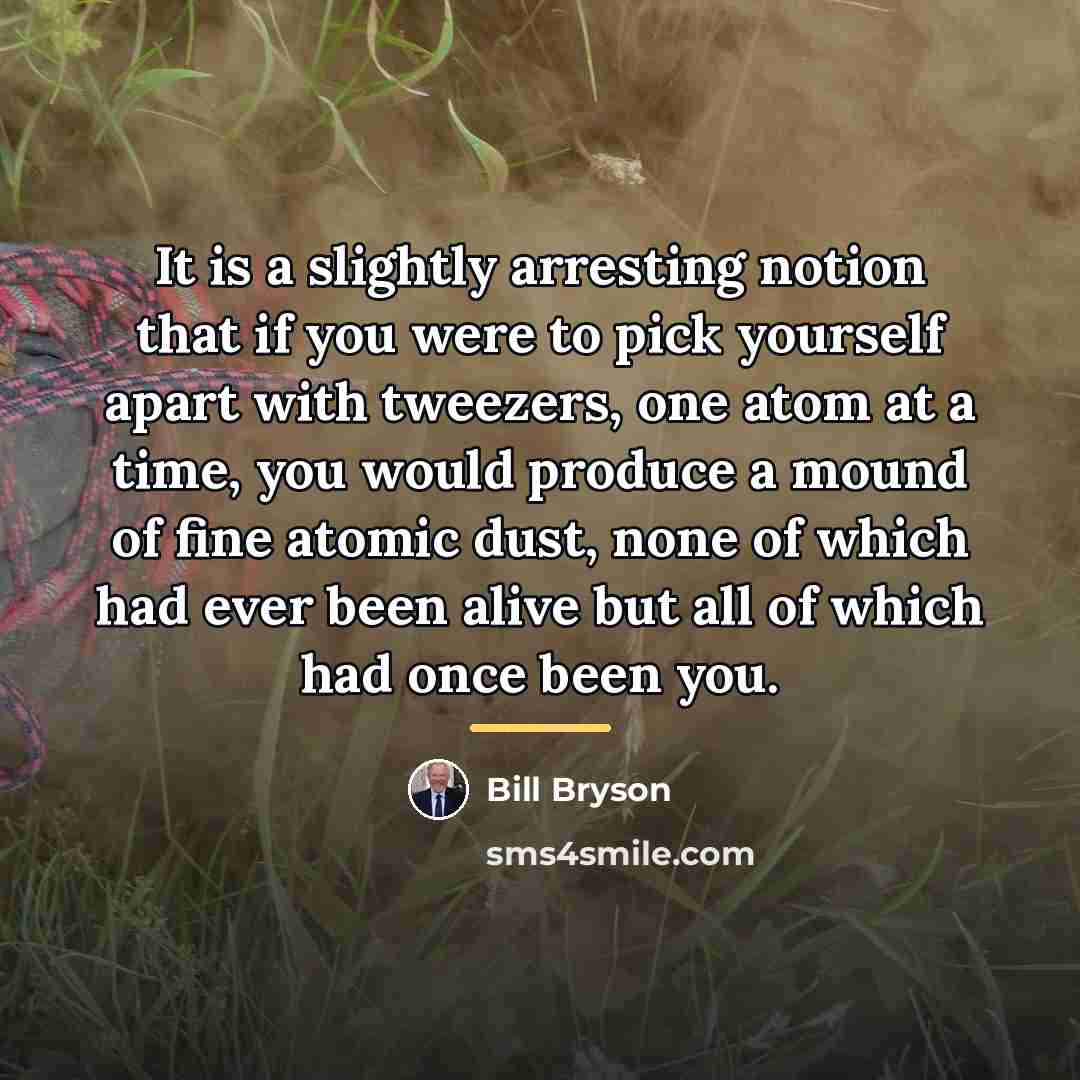 “It is a slightly arresting notion that if you were…” quote by Bill Bryson