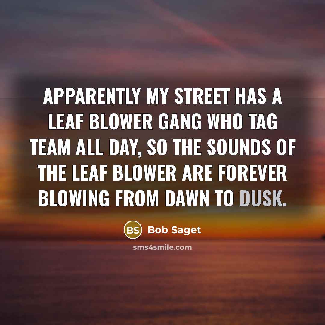 “Apparently my street has a leaf blower gang who tag…” quote by Bob Saget