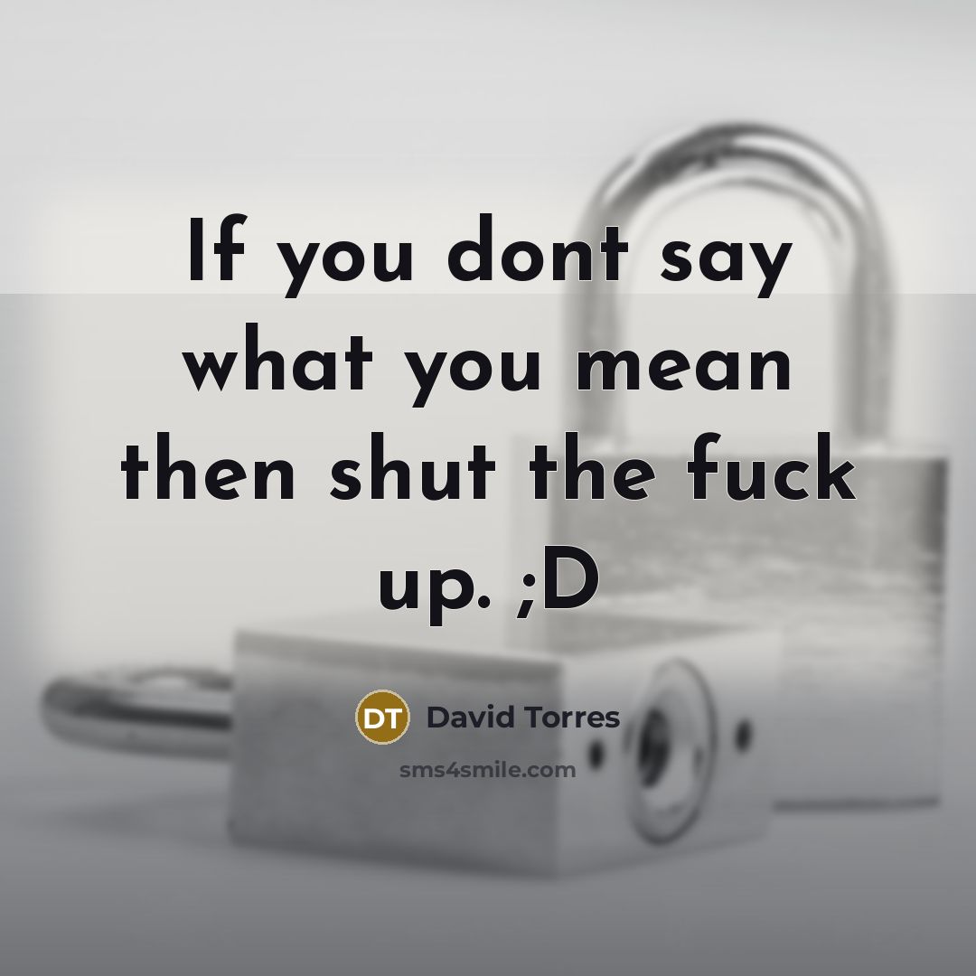 “If you dont say what you mean then shut the fuck up. ;D” quote by David Torres