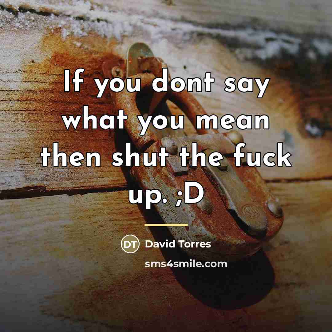 “If you dont say what you mean then shut the…” quote by David Torres