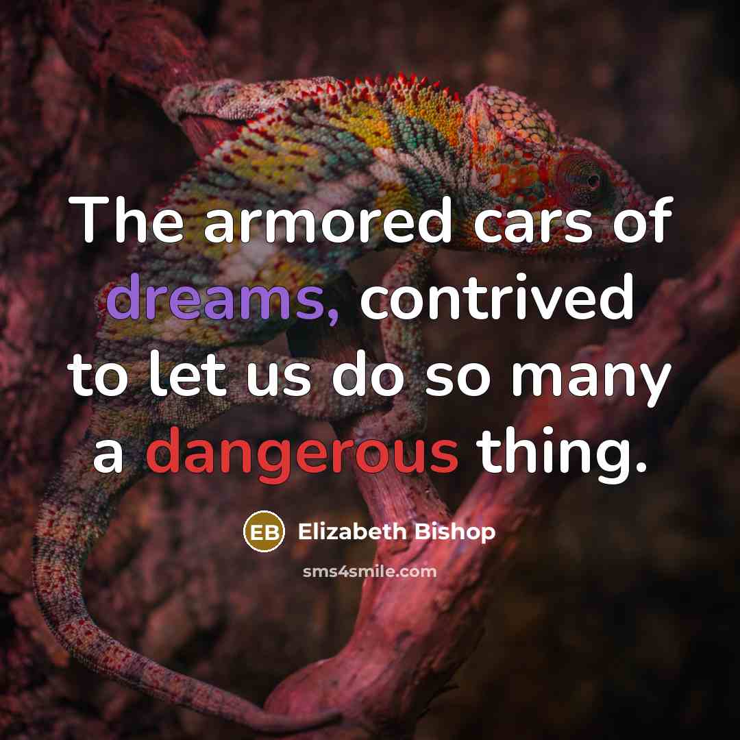 “The armored cars of dreams, contrived to let us do…” quote by Elizabeth Bishop