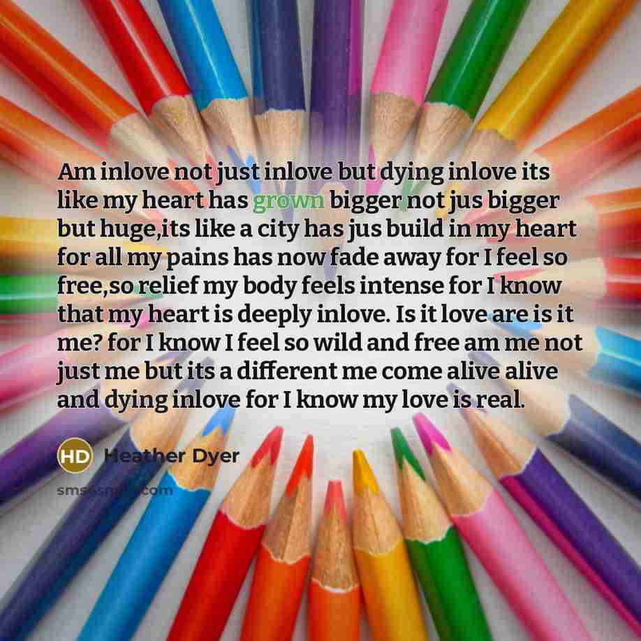 “Am inlove not just inlove but dying inlove its like my heart has grown bigger not jus bigger but huge,its like a city has jus build in my heart for all my pains has now fade away for I feel so free,so relief my body feels intense for I know that my heart is deeply inlove. Is it love are is it me?…” quote by Heather Dyer
