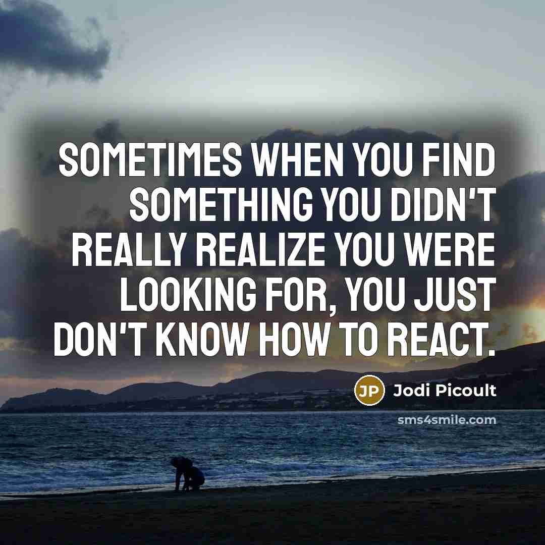 “Sometimes when you find something you didn't really realize you…” quote by Jodi Picoult