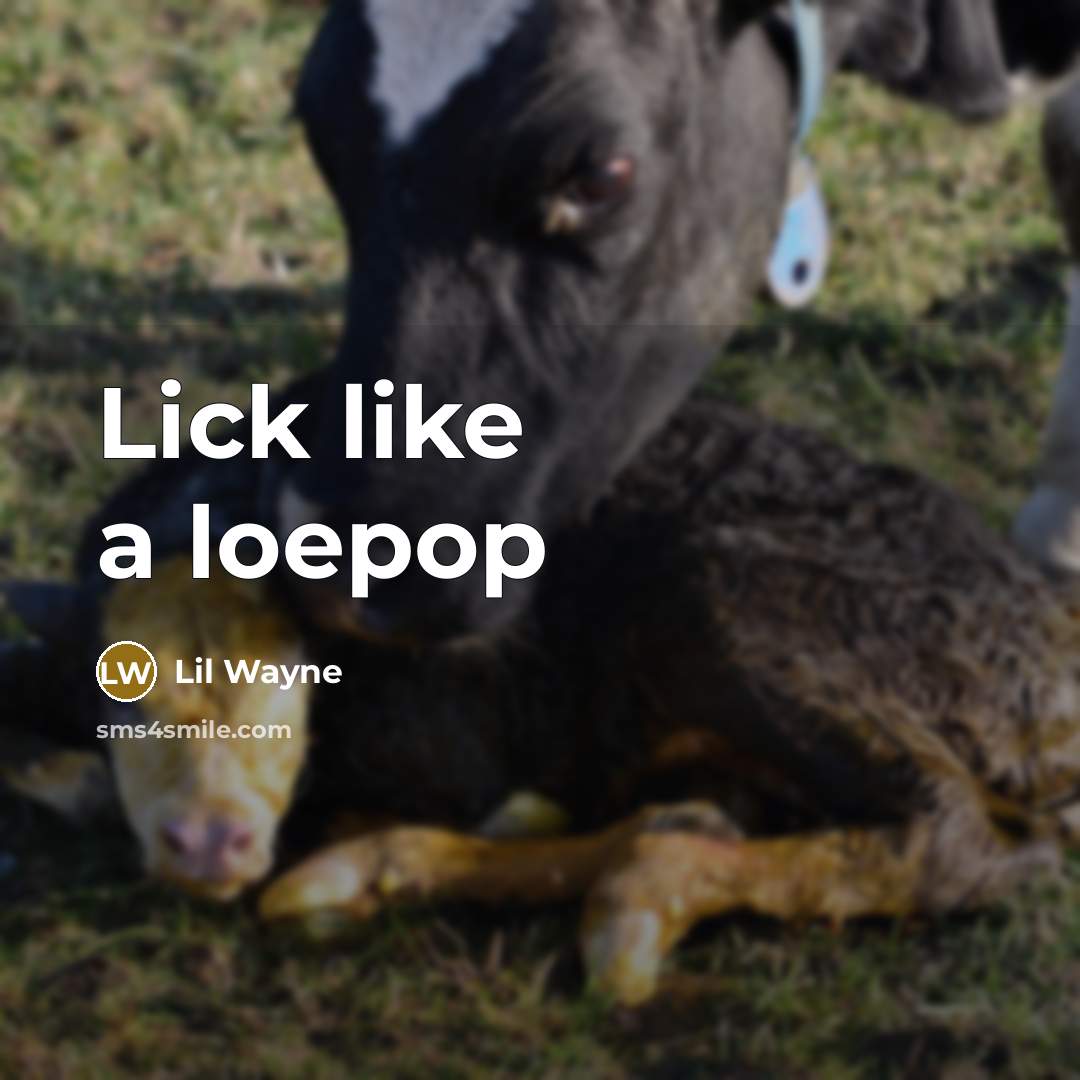 “Lick like a loepop…” quote by Lil Wayne