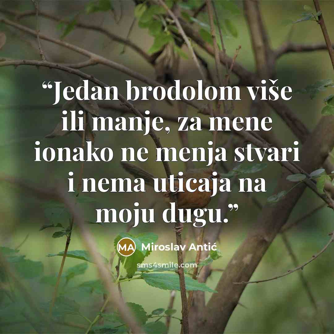 “Jedan brodolom više ili manje, za mene ionako ne menja stvari i nema uticaja na moju dugu.” quote by Miroslav Antić