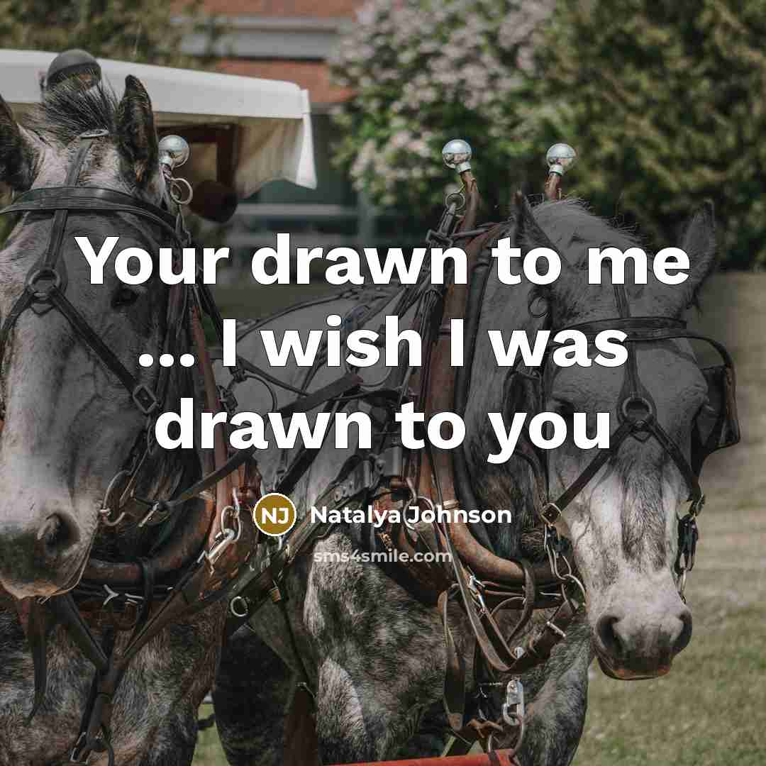 “Your drawn to me ... I wish I was drawn to you” quote by Natalya Johnson