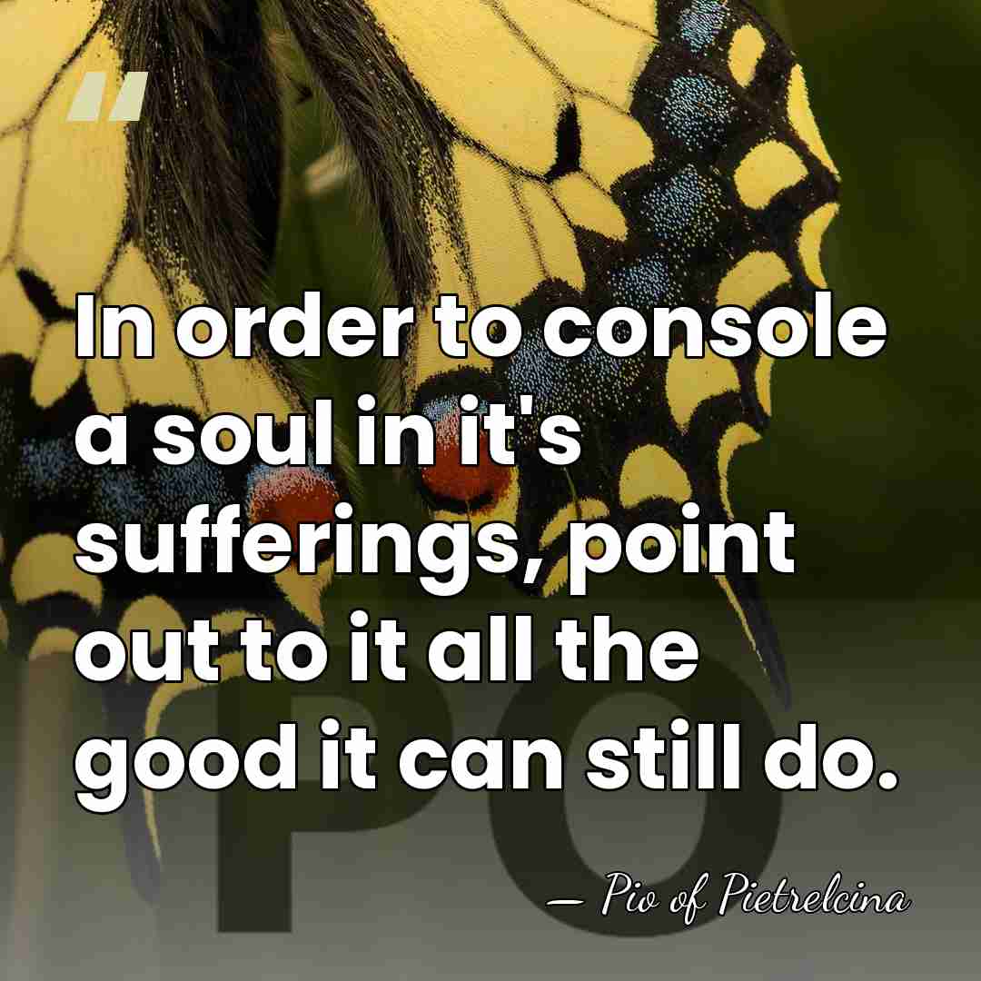 In order to console a soul in it's sufferings, point out to&hellip; - Pio of Pietrelcina