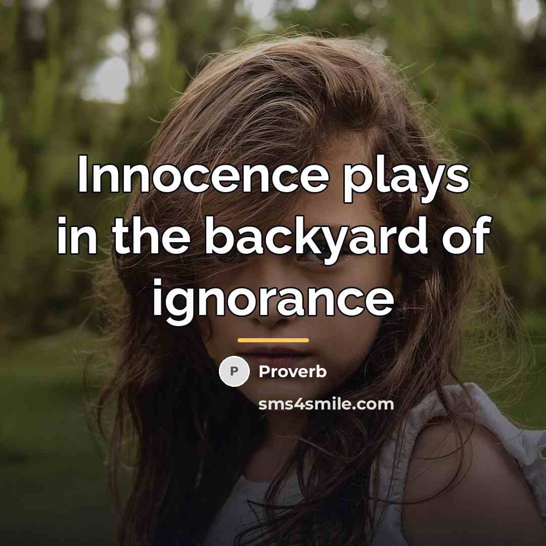 “Innocence plays in the backyard of ignorance…” quote by Proverb