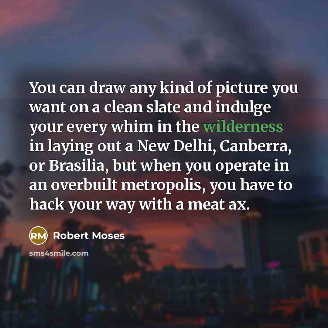 “You can draw any kind of picture you want on…” quote by Robert Moses
