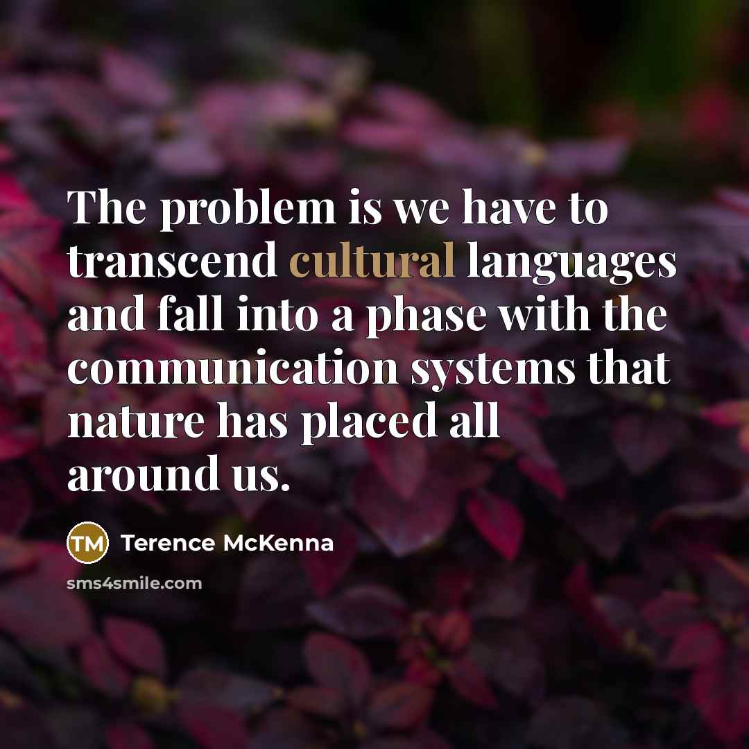 “The problem is we have to transcend cultural languages and…” quote by Terence McKenna