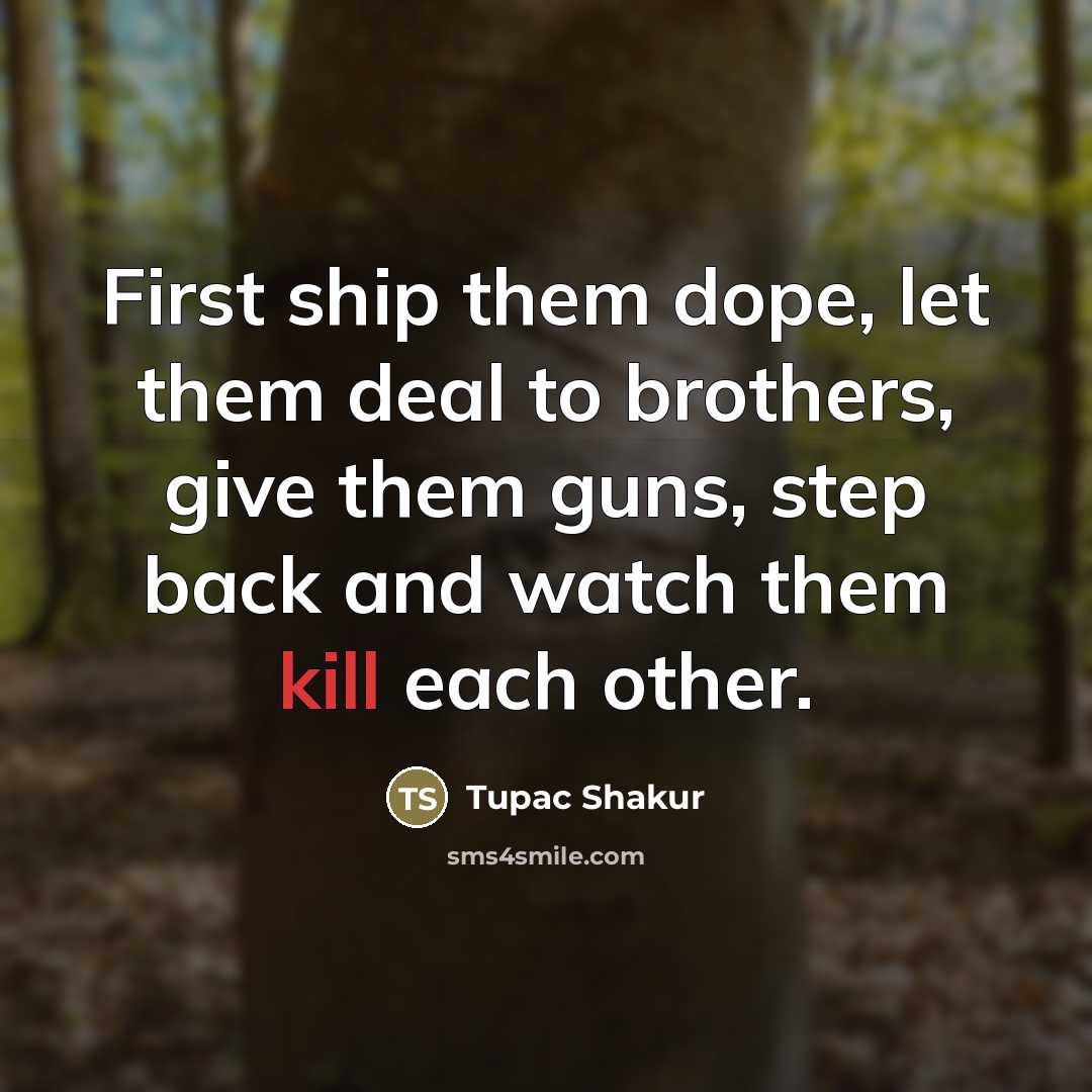 “First ship them dope, let them deal to brothers, give…” quote by Tupac Shakur