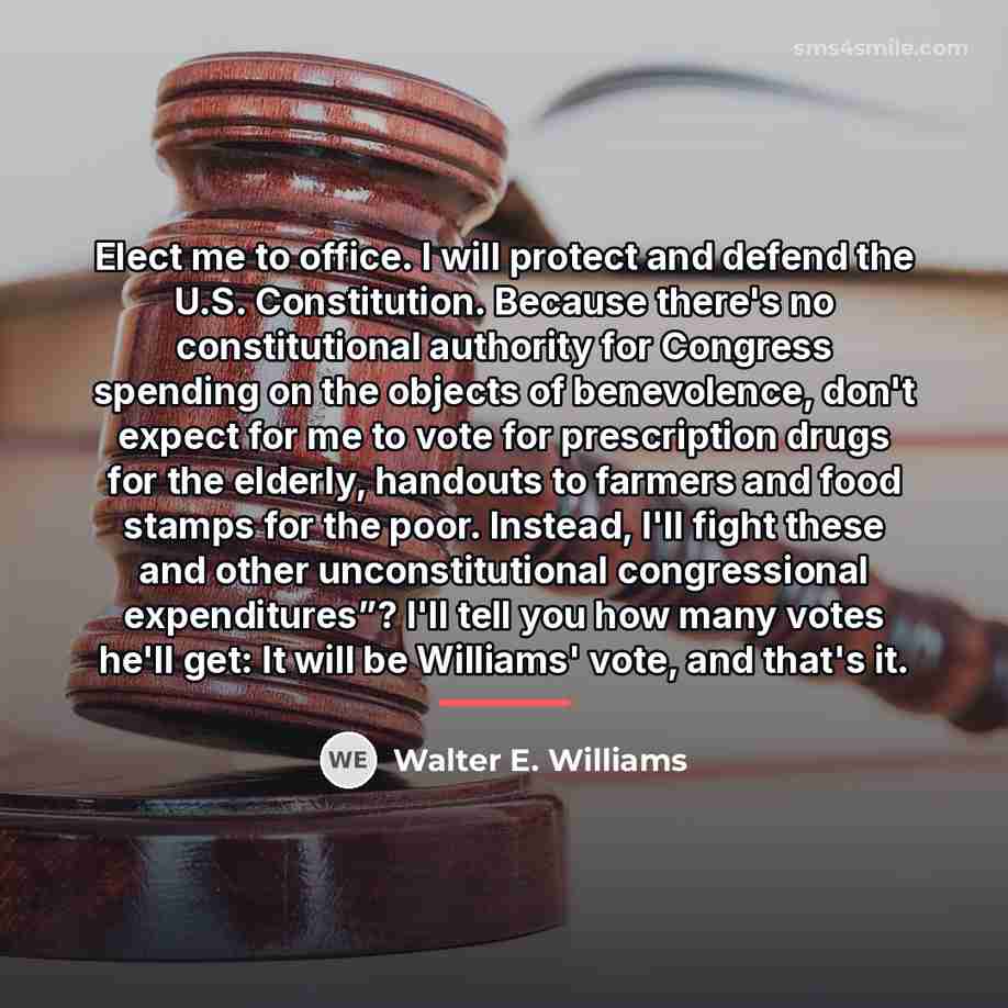 “Elect me to office. I will protect and defend the…” quote by Walter E. Williams