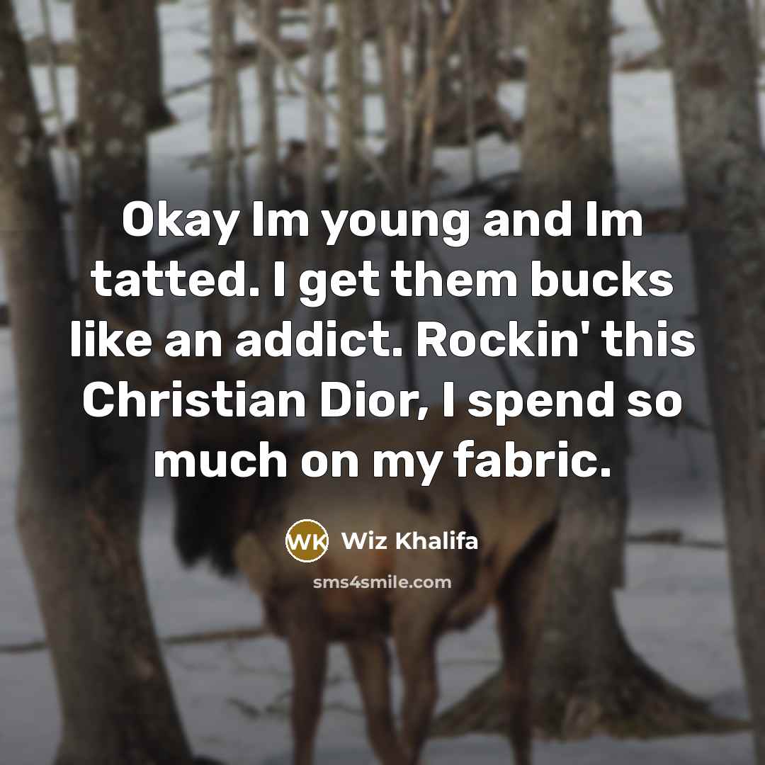 “Okay Im young and Im tatted. I get them bucks like an addict. Rockin' this Christian Dior, I spend so much on my fabric.” quote by Wiz Khalifa