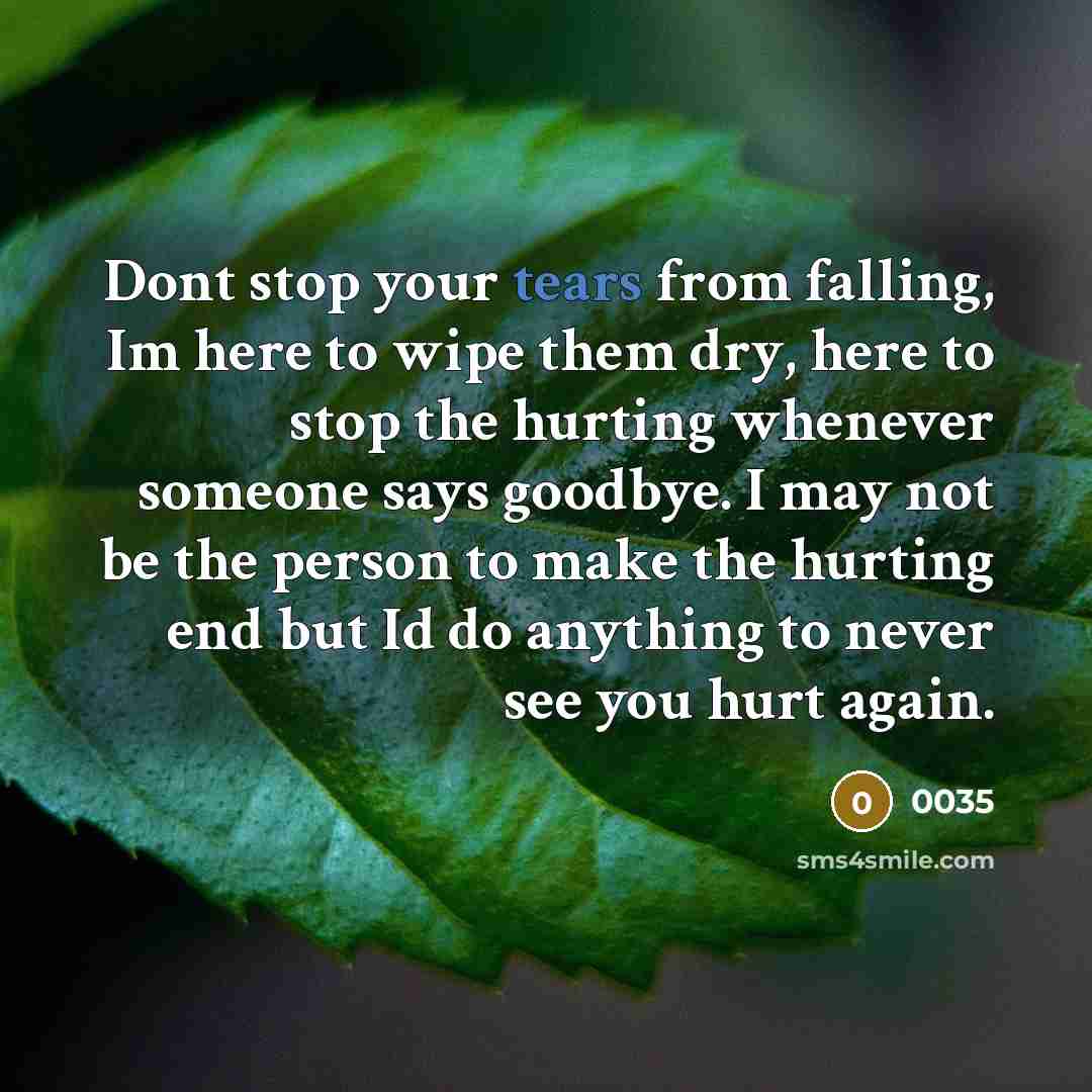 “Dont stop your tears from falling, Im here to wipe them dry, here to stop the hurting whenever someone says goodbye. I may not be the person to make the hurting end but Id do anything to never see you hurt again.” quote by 0035