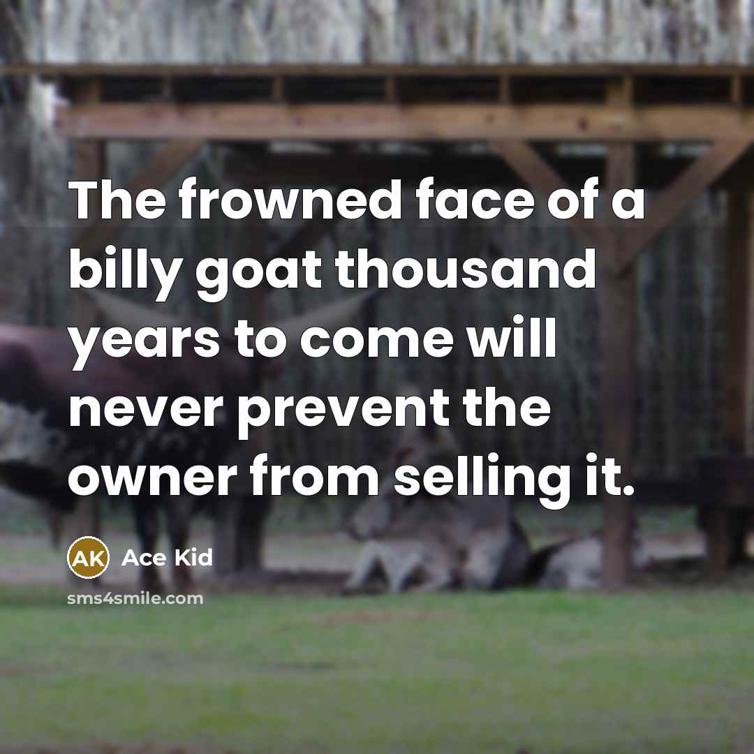 “The frowned face of a billy goat thousand years to…” quote by Ace Kid