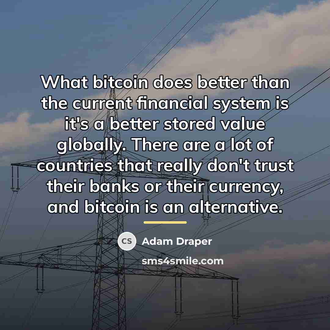 “What bitcoin does better than the current financial system is…” quote by Adam Draper