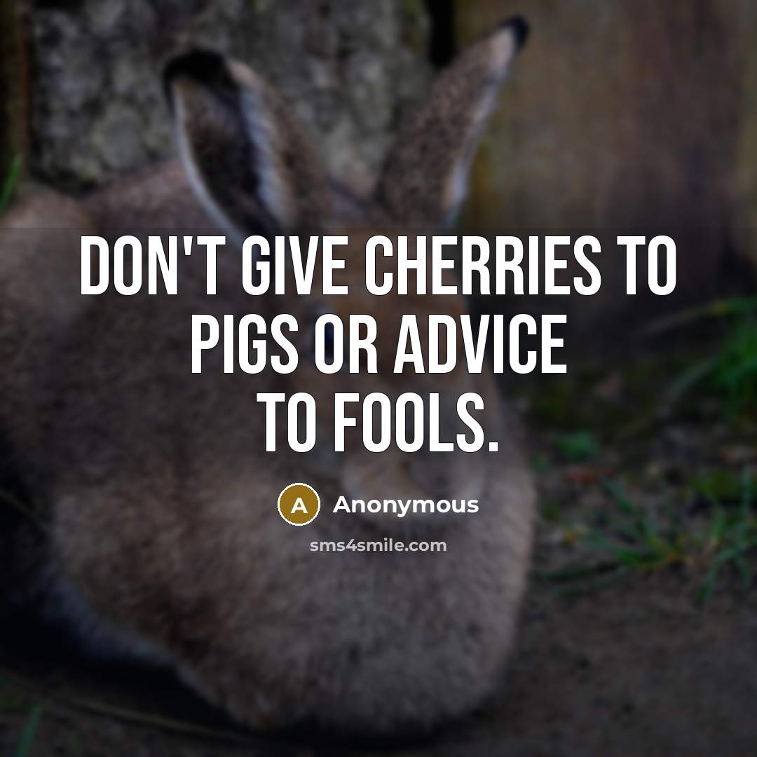 “Don't give cherries to pigs or advice to fools.…” quote by Anonymous